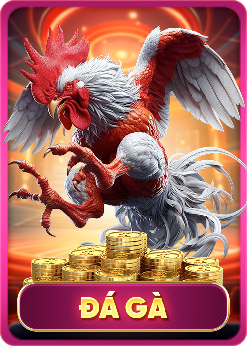 FAV-Ton-Hong-Momo(5)