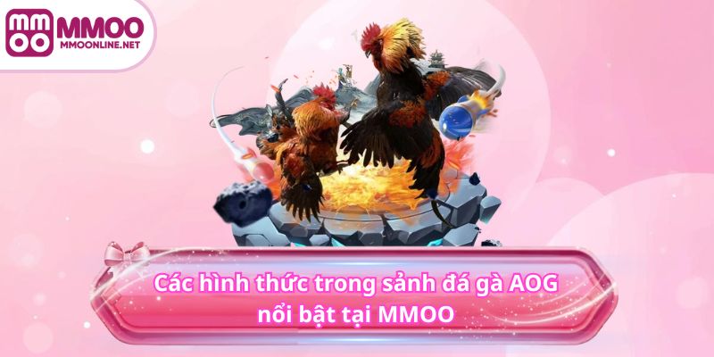 Các hình thức trong sảnh đá gà AOG nổi bật tại MMOO