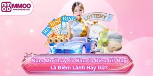 Nằm Mơ Thấy Có Bầu Có Điều Gì? Đây Là Điềm Lành Hay Dữ?