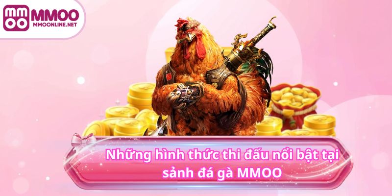 ĐÁ GÀ 4 Những hình thức thi đấu nổi bật tại sảnh đá gà MMOO