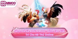Sảnh Đá Gà AOG MMOO - Đỉnh Cao Giải Trí Cho Kê Thủ Online
