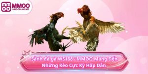 Sảnh đá gà WS168 - MMOO Mang Đến Những Kèo Cực Kỳ Hấp Dẫn 