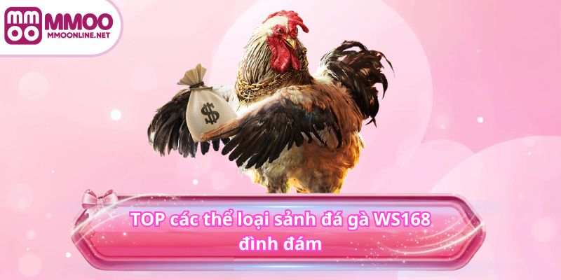 TOP các thể loại sảnh đá gà WS168 đình đám