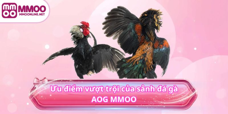 Ưu điểm vượt trội của sảnh đá gà AOG MMOO